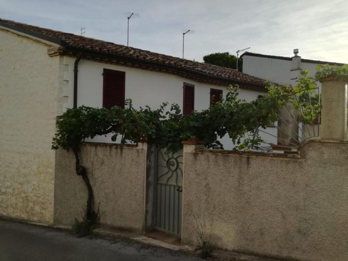 B&B Capo Le Vigne Sirolo Buitenkant foto
